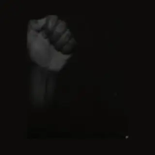 Forever Living Originals Untitled (Black Is)