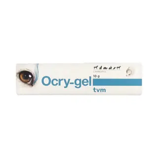 Ocry-gel Ocrygel Protection Et Humidification De L'oeil 10g