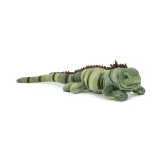 Semo Leguaan Knuffel - Groen - Pluche - Hagedis Knuffeldier - 36 Cm