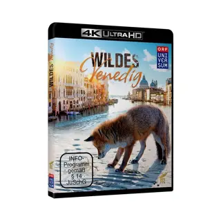 Rex Film / Cargo Wildes Venedig 4 K, Uhd-Blu-ray