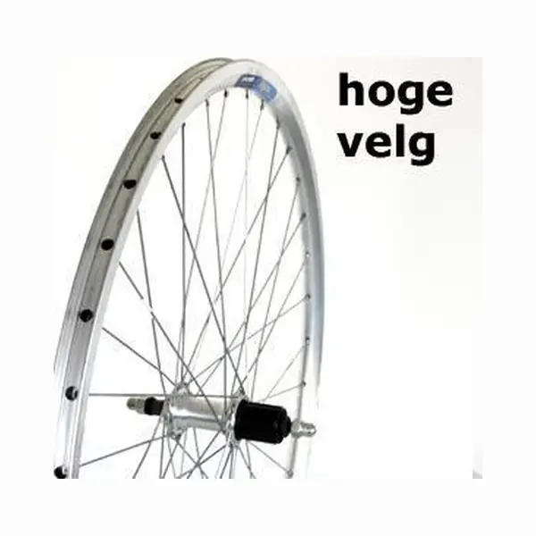 Roland Achterwiel 28 Vast Cass 8v Alu V-profil Zilver thumbnail