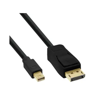 InLine Mini DisplayPort to DisplayPort Cable black 0.5m