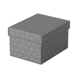 Esselte 628281 Dateiablagebox Karton Grau