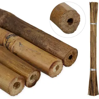 Bamboe Stokken Set Van 40 - 105 Cm - Tomaten - Klimplanten - Natuur