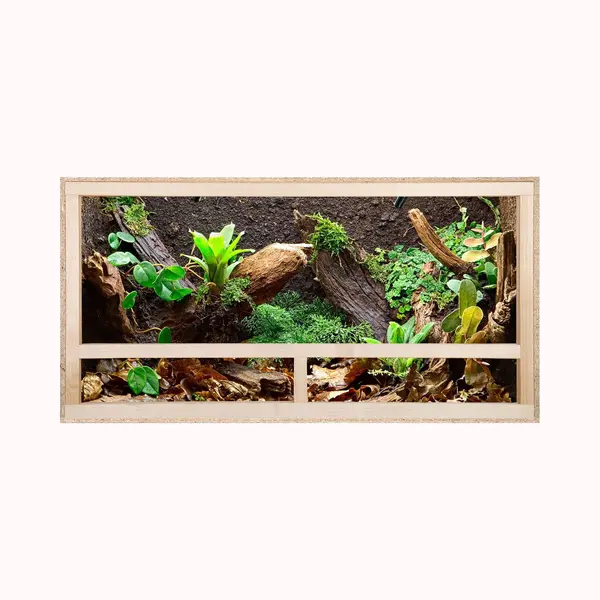 Repiterra® Terrarium Reptielenamfibieën Zijventilatie 80x50x50 Cm thumbnail