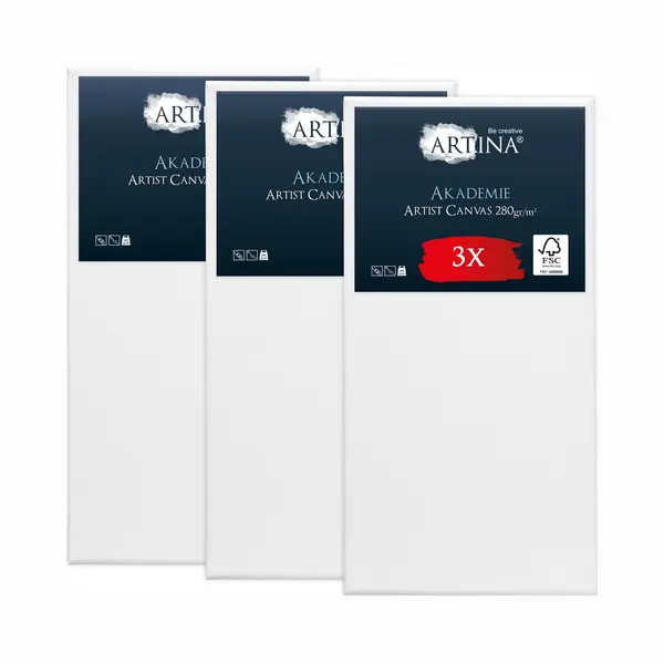 Artina Fscยฎ Large Canvas For Painting 60x120 Cm - 3pcs Blank Canvases For Art For Acrylic, Watercolour & Oil Painting - 100% Cotton Canvas Stretcher thumbnail