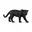 Zwart, Zwarte Panter