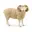 Ram, Wit
