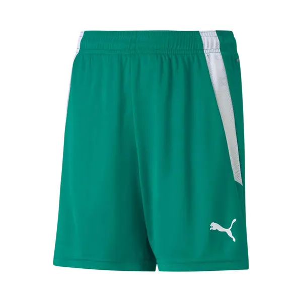 Puma, Unisex, Sporthose, TeamLIGA Shorts Jr-704931 (140), Grün thumbnail
