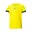 Geel