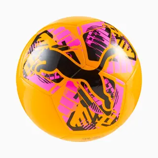 Puma Big Cat