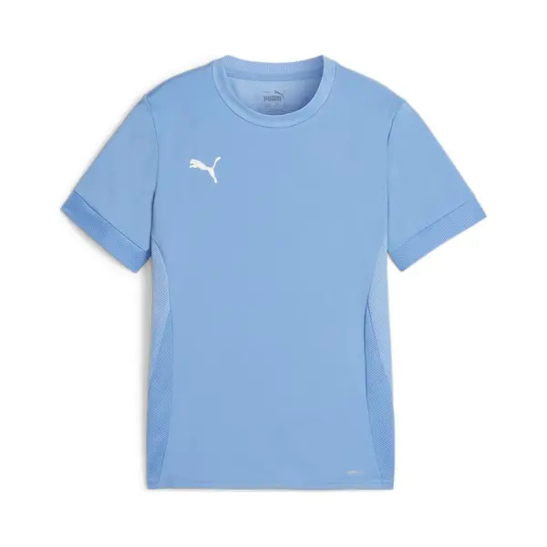 Puma, Jongens, Sportief Shirt, TeamGOAL Wedstrijdjersey Jr (116), Blauw, 116 thumbnail