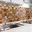 Hout