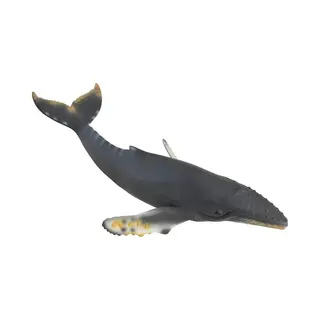 Collecta Bultrug Walvis - Xl Realistisch Model Van Duurzaam Materiaal