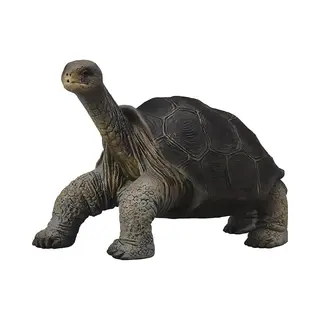 Collecta - 3388619 – Figur – Wildtiere – Galápagos Riesenschildkröte