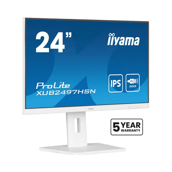 iiyama ProLite 24" Ips technology panel with Usb-C dock and RJ45 (Lan) thumbnail