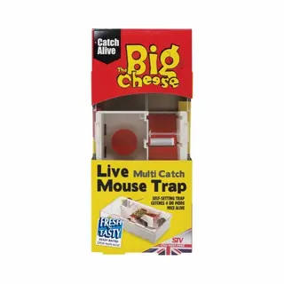 The Big Cheese Baited Rtu Multi M.Trap