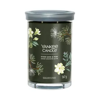 Yankee Candle Silber Salbei & Kiefer Wachs Kerze Zylinder Grün 1 Stck