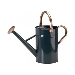 Watering Can - Blue 4.5L