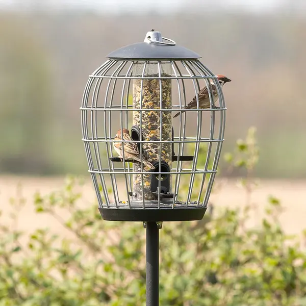 C J Wildlife Cj Wildlife Voedersilo Met Beschermkooi Voor Tuinvogels - Aura - Vogelvoedersilo Voor Kleine Vogels - Vogelvoederhuisje - Hangend & Staand Mogelijk - thumbnail