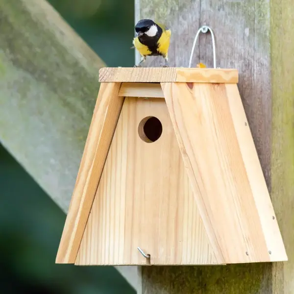 Cj Wildlife Nistkasten Bausatz – Vogelnistkasten Für Meisen – Holz Fsc 100% – 28 Mm Einflugöffnung – Wetterfest Für Draußen – Baupaket thumbnail