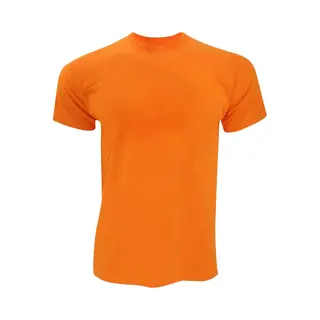 Fruit Of The Loom Heren Originele T-shirt Korte Mouwen (Oranje)
