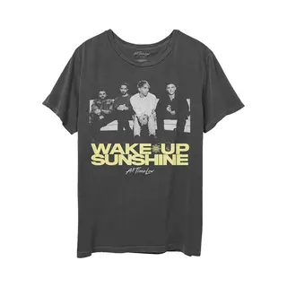 All Time Low Faded Wake Up Sunshine T-Shirt In Grey | Size, Xl