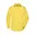 Geel