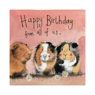 Alex Clark Three Guinea Pigs Birthday Card