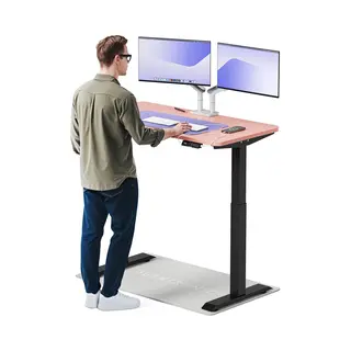 Desktronic HomeOne Zit-sta Bureau Elektrisch In Hoogte Verstelbaar, 120x60 Cm Zwart/Roze, Stille Dubbele Motor, Hoogte 72-119cm