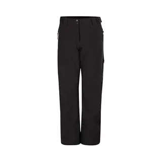 Dare2b Womens Ice Pants, Black, 8 Eu