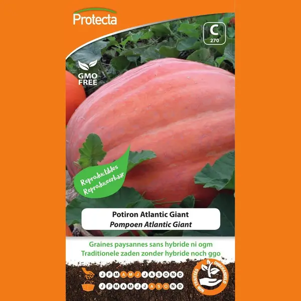 Protecta Groente Zaden, Pompoen Atlantic Giant thumbnail