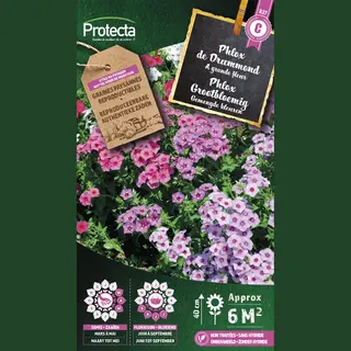 Protecta Bloemen Zaden, Phlox Grootbloemig