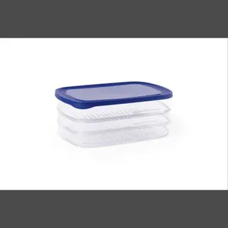 Day To Day - Vleeswarendozen - 3 Lagen Stapelbare Vershoudbakjes - Bpa-vrije Bewaardozen - Compacte Bewaarbakjes - Blauw