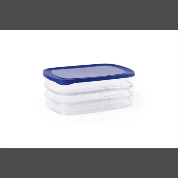 Day To Day - Vleeswarendozen - 3 Lagen Stapelbare Vershoudbakjes - Bpa-vrije Bewaardozen - Compacte Bewaarbakjes - Blauw thumbnail