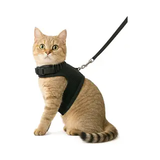 Zootic Kattentuigje Met Looplijn - Kattenharnas Zwart Maat S - Halsomvang 14-18cm & Borstomvang 24-28cm