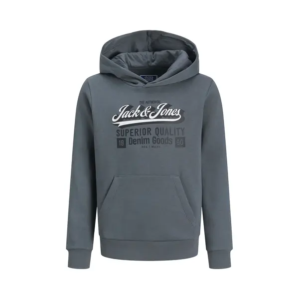 Jack & Jones Junior Jjelogo Sweat Hood 2 Col Aw25 Noos Jnr thumbnail