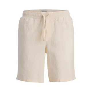 Jack & Jones Shorts Jpstjaiden