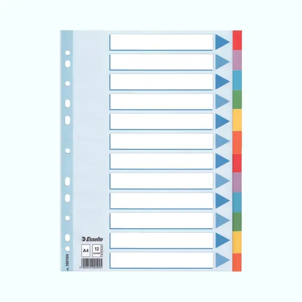 Esselte Multi-coloured Cardboard Dividers schutkaart 10 stuk(s) thumbnail