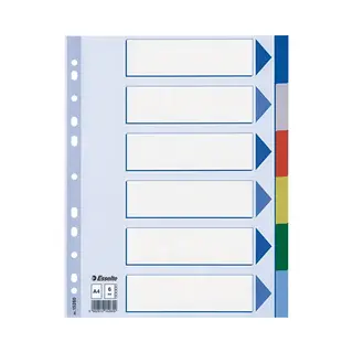 Esselte Register Blanko, Plastik