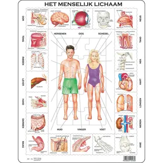 Larsen Maxi Het menselijk lichaam 35 stukjes