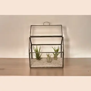WinQ- Terrarium Van Glas Met Grijs Metaal 17x11x15cm-plantenterrarium