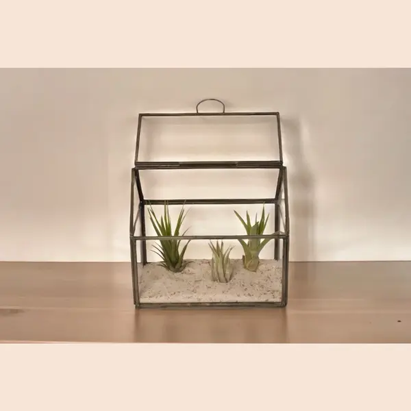 WinQ- Terrarium Van Glas Met Grijs Metaal 17x11x15cm-plantenterrarium thumbnail