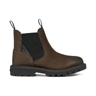Women's Boots Geox Shaylax B. A