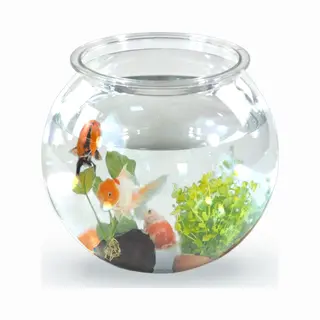 Mobiclinic Pets, Vissenpot, Rond, Nemo, 4 Liter, Pet-kunststof Eco, Transparant Design, 20 X 20 X 17, 5 Cm, Gemakkelijk Te Reinigen, Duurzaam, Ideaal