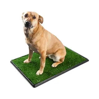 Super Merchant Honden Toilet - Groot