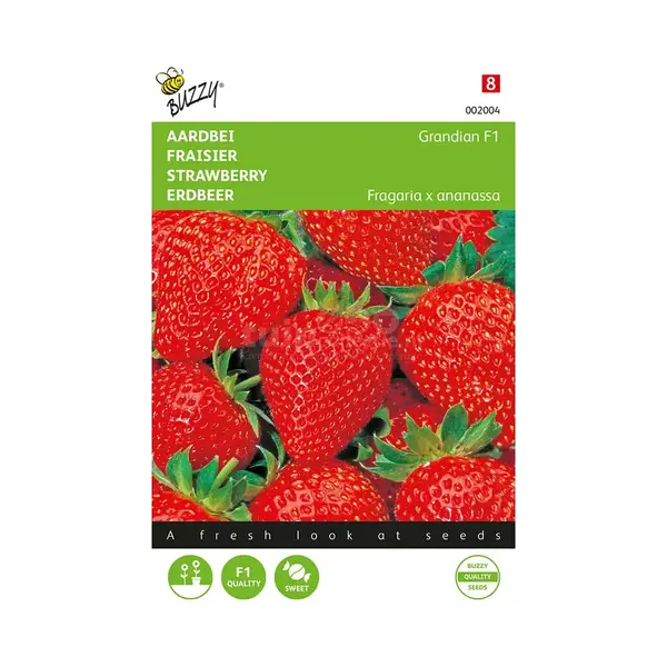 Buzzy Seeds Buzzy® Aardbeien Grandian F1 thumbnail