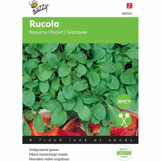 Buzzy Seeds Buzzy® Rucola Coltivata Italiaanse Snijgroente