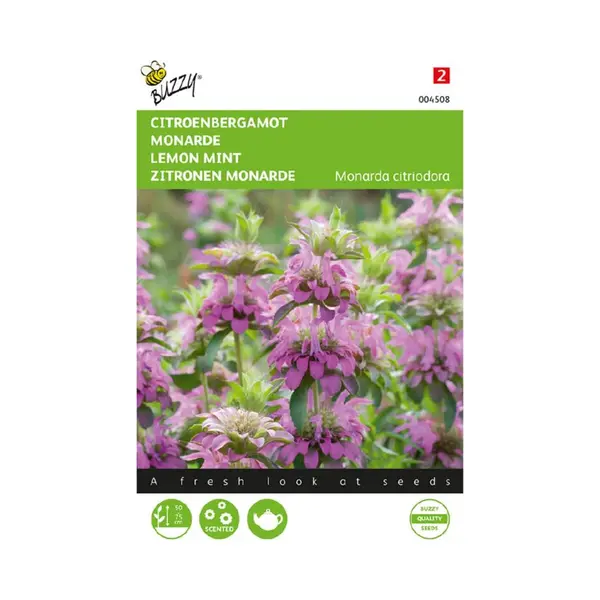 Ta Citroenbergamot ( Monarda Citriodora) thumbnail