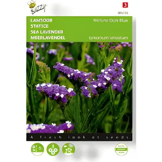Buzzy - Zaden Limonium Lamsoor Fortune Dark Blue 0.2 Gram